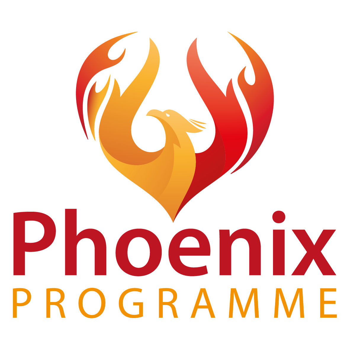J15355 Phoenix logo   stacked   RGB 300dpi